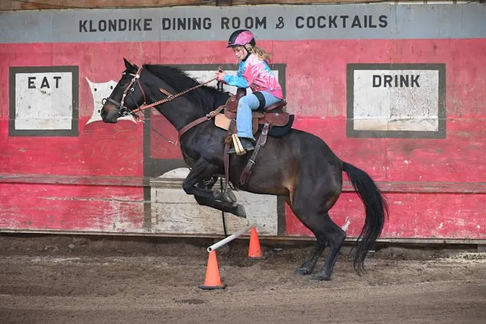 Kendall Road Equine Hospital 1