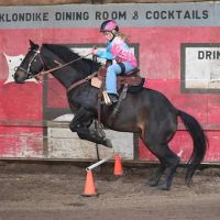 Kendall Road Equine Hospital ico