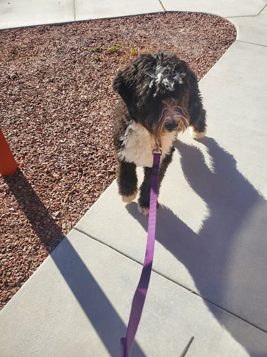 Marketside Animal Hospital at Verrado 7