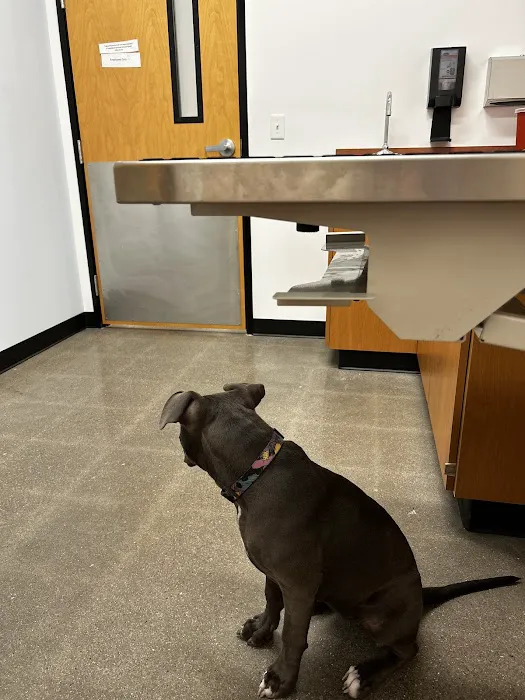 PetSmart Veterinary Services - Buckeye (Sundance) 7