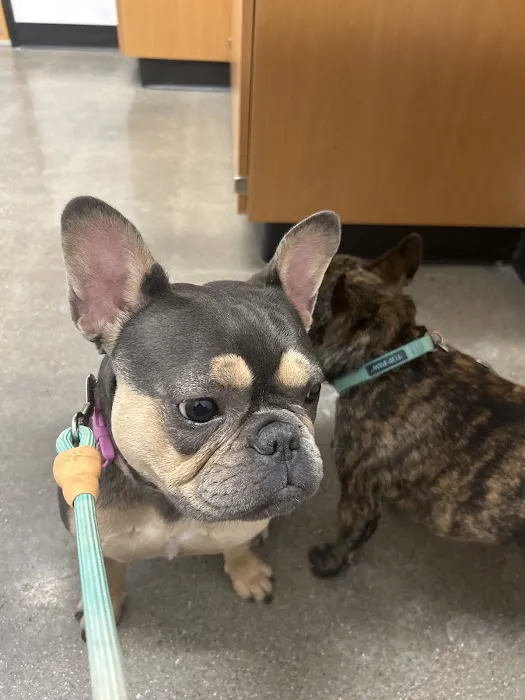 PetSmart Veterinary Services - Buckeye (Sundance) 10