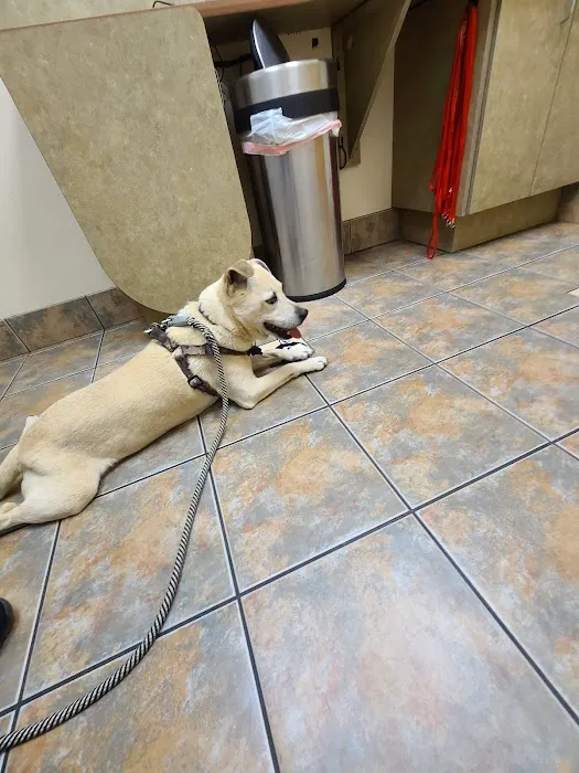 Lovet Pet Health Care - North Buckeye 5