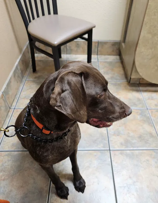 Lovet Pet Health Care - North Buckeye 8