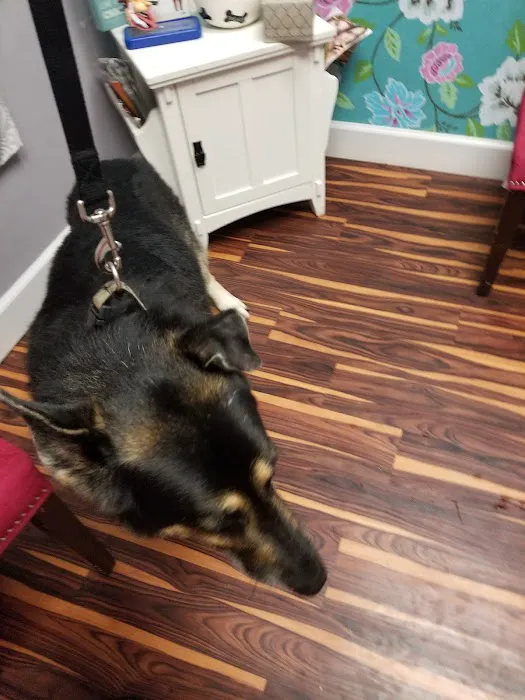 Freiberg's Healing Paws Veterinary Clinic 5
