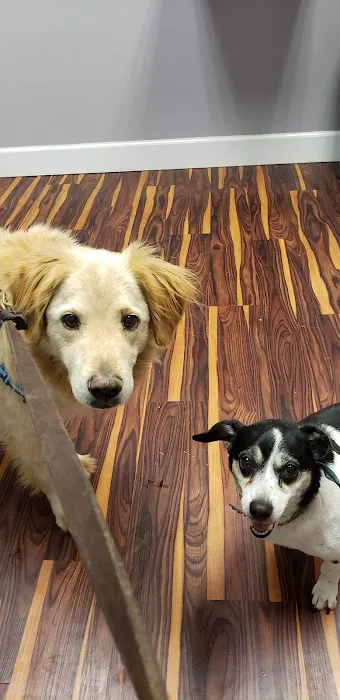 Freiberg's Healing Paws Veterinary Clinic 4