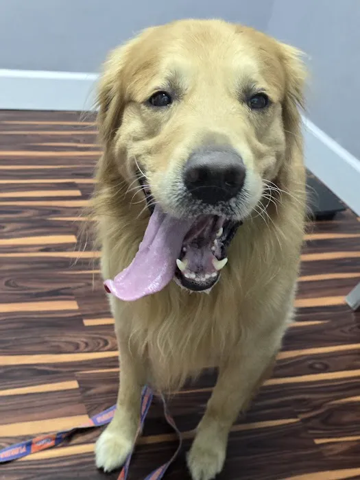 Freiberg's Healing Paws Veterinary Clinic 8