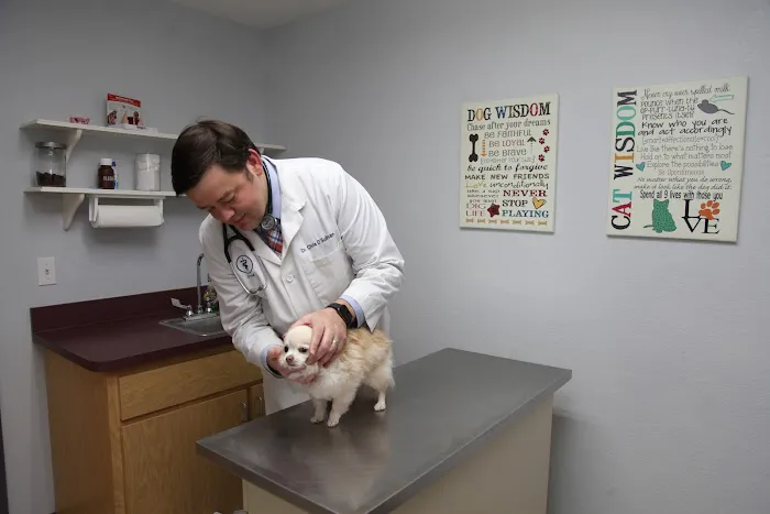 Oak Hammock Animal Hospital 12