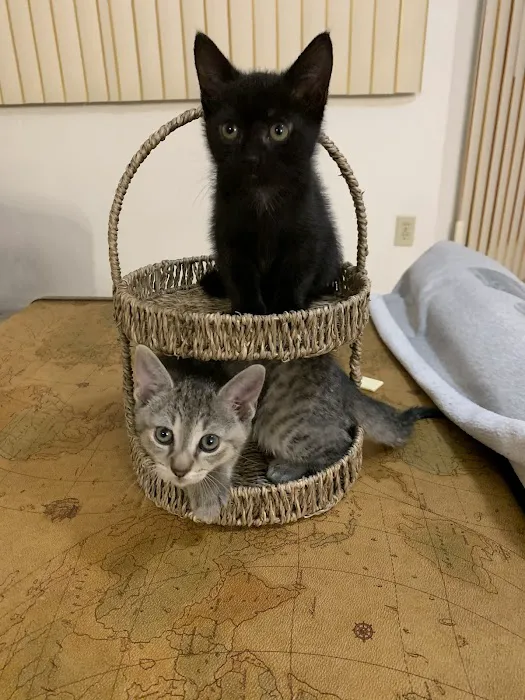 Oak Hammock Animal Hospital 12