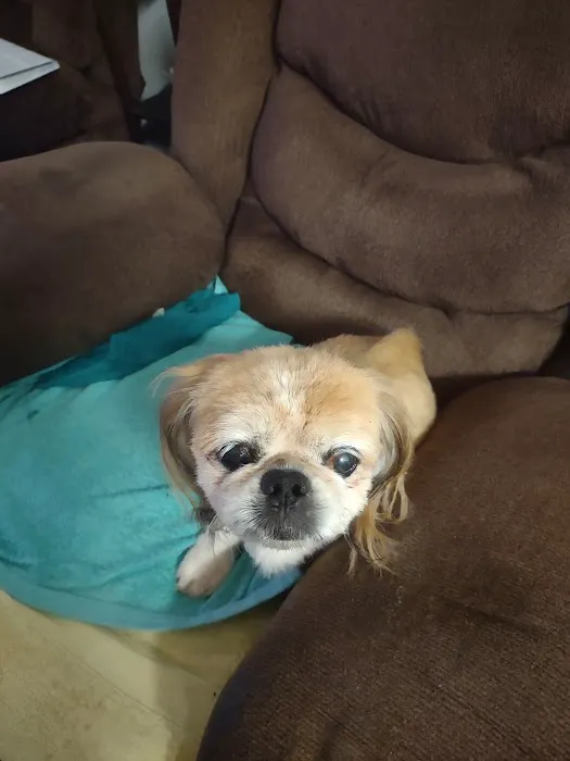 Oak Hammock Animal Hospital 12