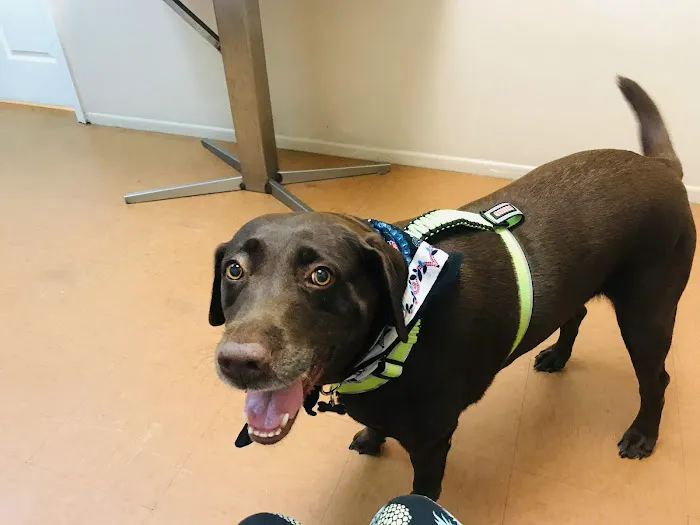 Heartland Animal Hospital 2