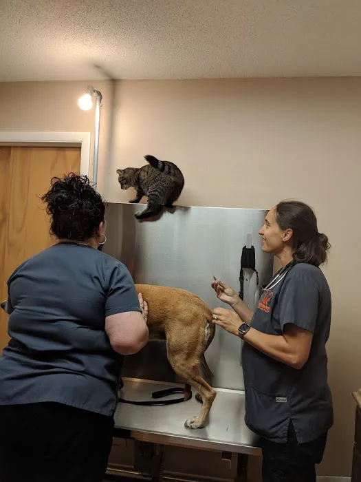Heartland Animal Hospital 6