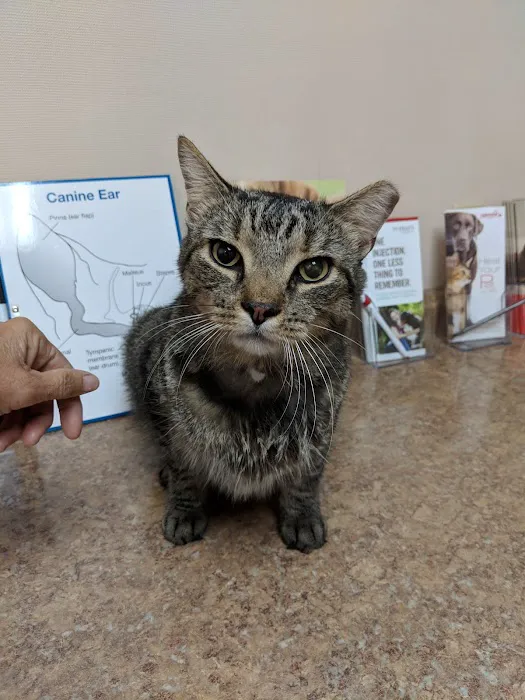 Heartland Animal Hospital 10