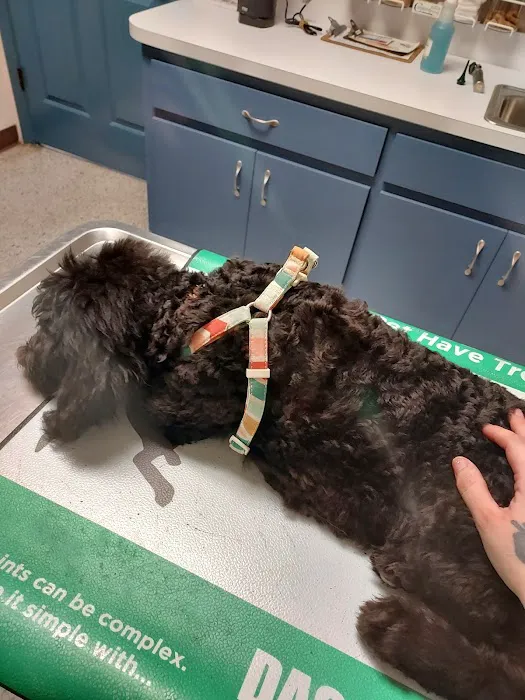 Citrus Animal Clinic 2
