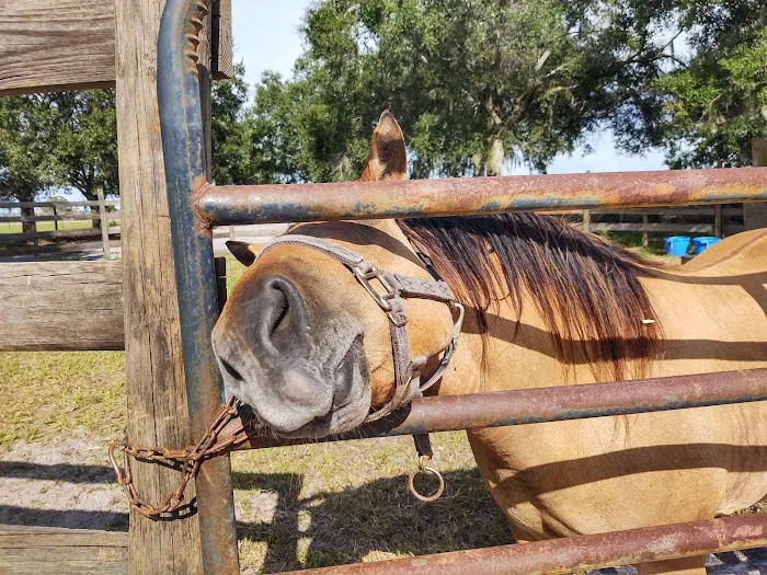 Citrus Animal Clinic 7