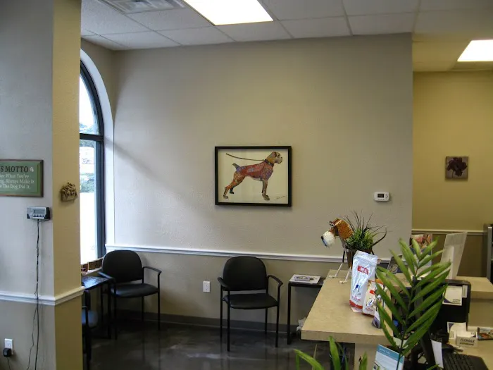 Veterinary Care of Venice 4