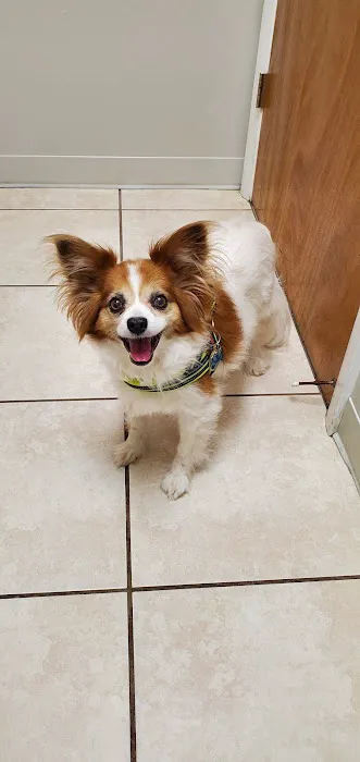 Laurel Road Veterinary Clinic 8