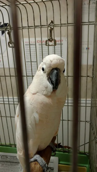 Venice Animal Clinic 1