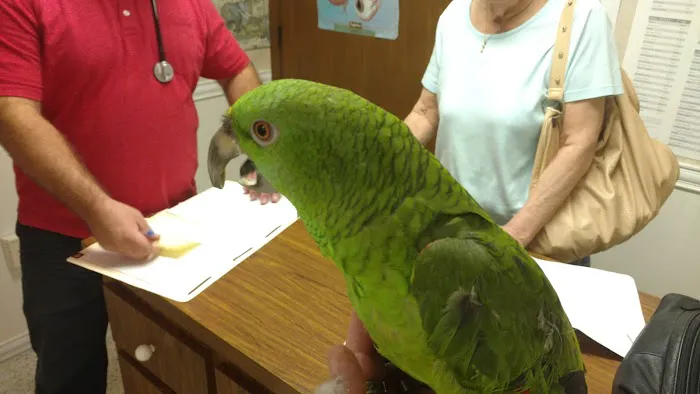 Venice Animal Clinic 7