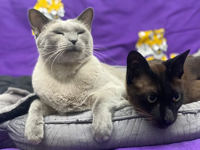 A Pet's Friend Animal Hospital 1