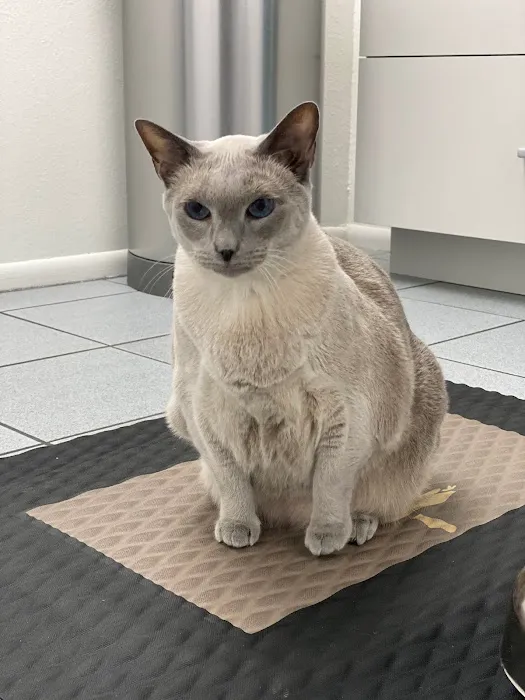 A Pet's Friend Animal Hospital 5