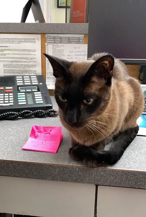 A Pet's Friend Animal Hospital 6