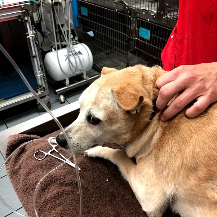 A Pet's Friend Animal Hospital 8