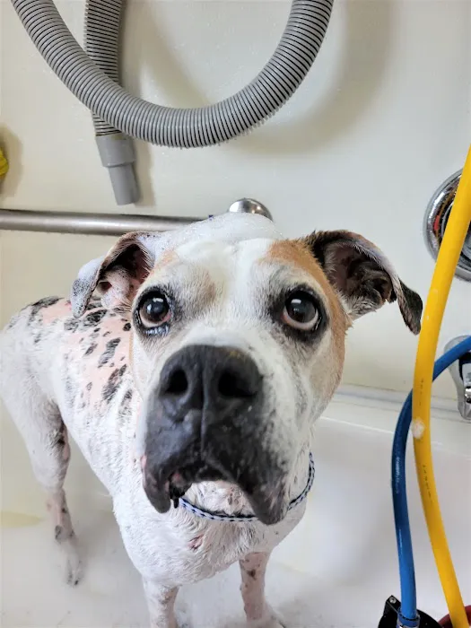 A Pet's Friend Animal Hospital 9