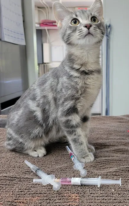 A Pet's Friend Animal Hospital 7