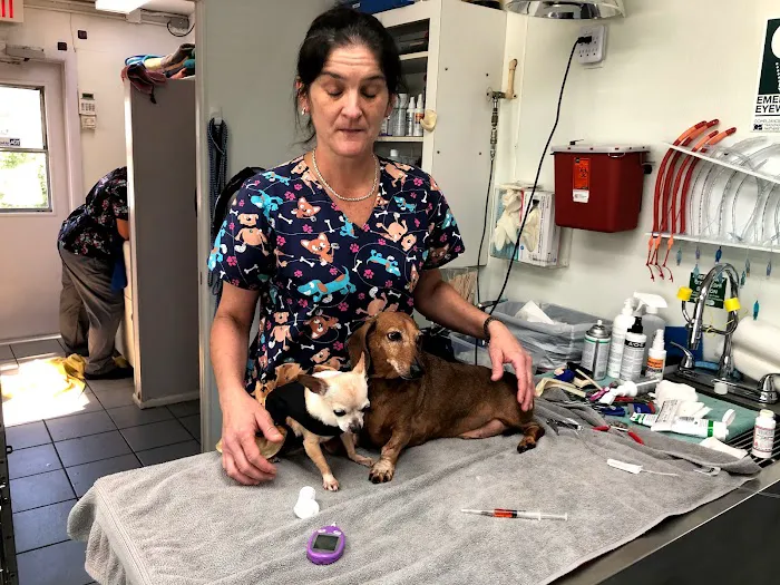 A Pet's Friend Animal Hospital 10