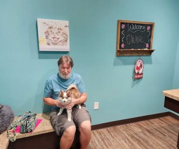 Marano Animal Hospital