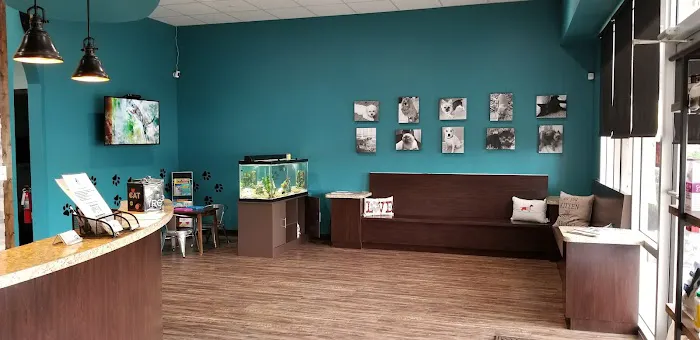Marano Animal Hospital 12