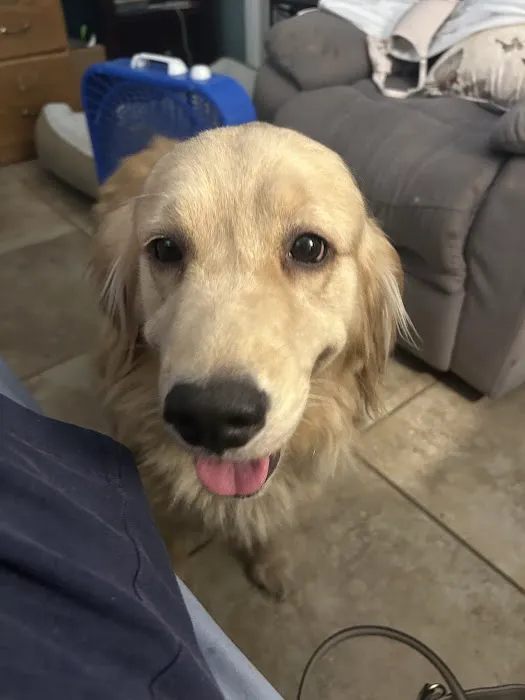 South Trail Animal Hospital 1