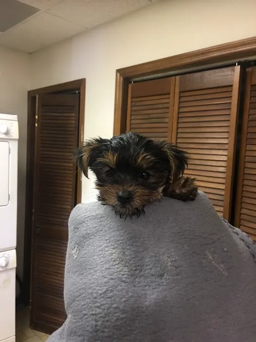 South Trail Animal Hospital 7