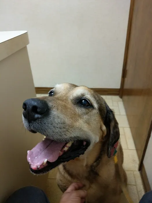 South Trail Animal Hospital 10