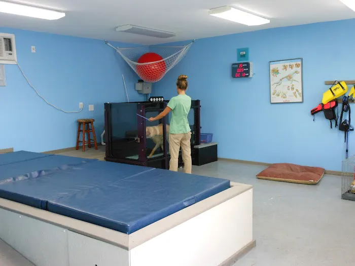 Tampa Bay K-9 Rehab Center 6