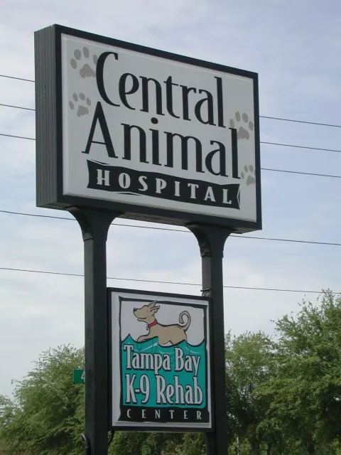 Tampa Bay K-9 Rehab Center 5