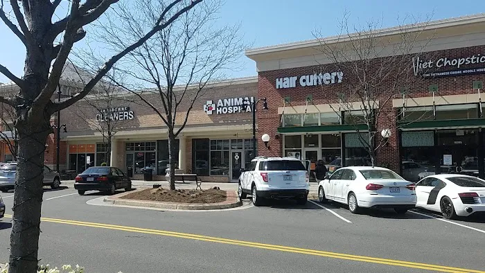 Lansdowne Animal Hospital 2