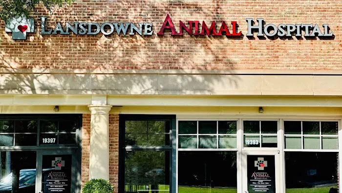 Lansdowne Animal Hospital 1