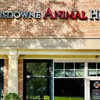 Lansdowne Animal Hospital ico
