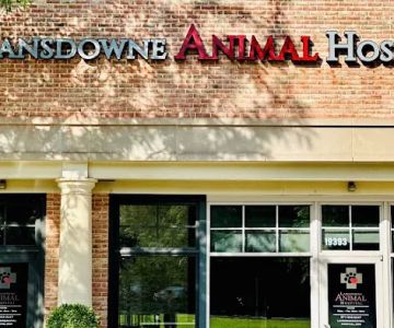 Lansdowne Animal Hospital