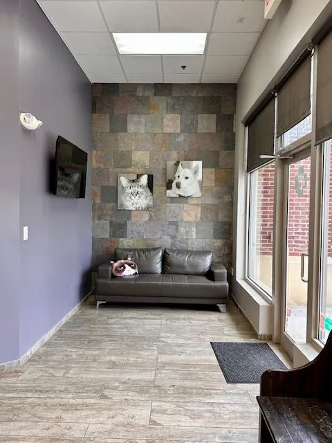 Lansdowne Animal Hospital 7