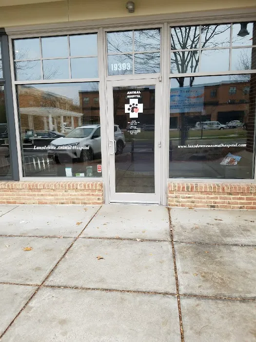 Lansdowne Animal Hospital 9