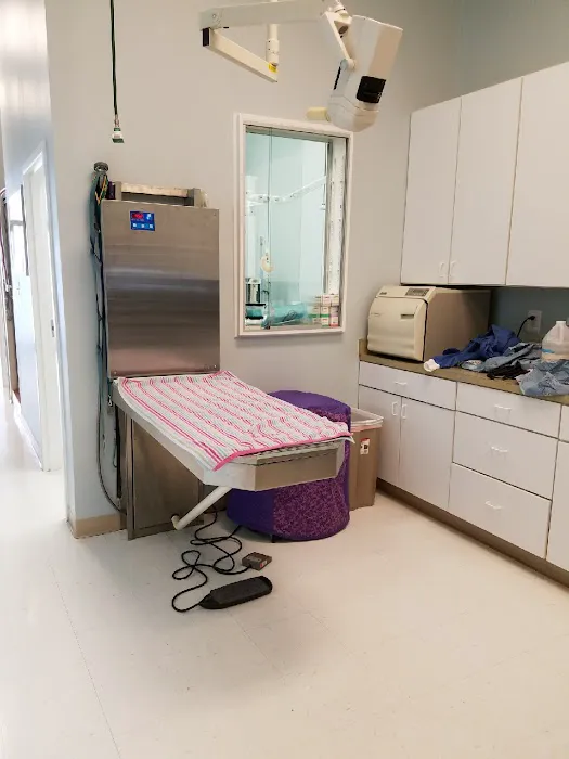 Lansdowne Animal Hospital 5