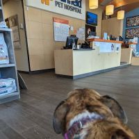 Banfield Pet Hospital ico