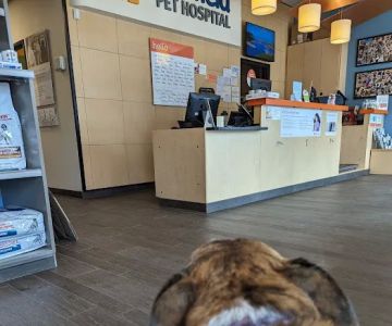 Banfield Pet Hospital
