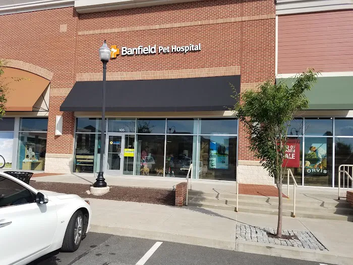 Banfield Pet Hospital 3