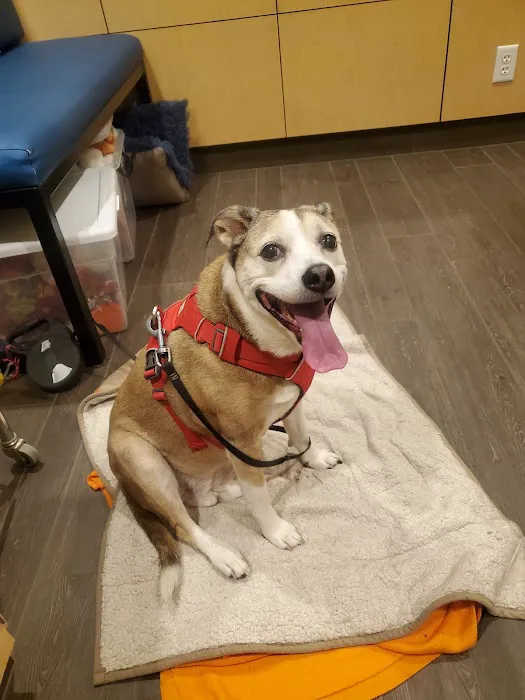 Banfield Pet Hospital 4