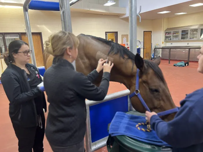 Mid-Atlantic Veterinary Dermatology 6