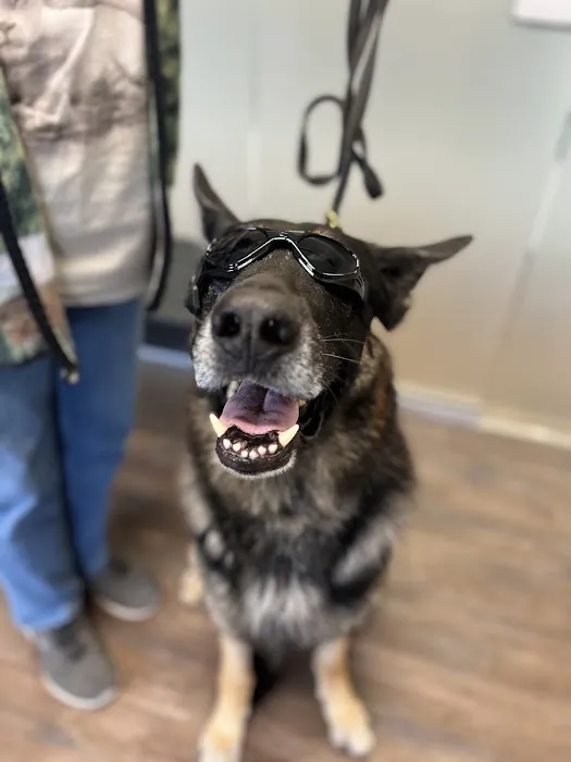 Mid-Atlantic Veterinary Dermatology 3