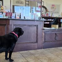 Ohana Veterinary Care ico